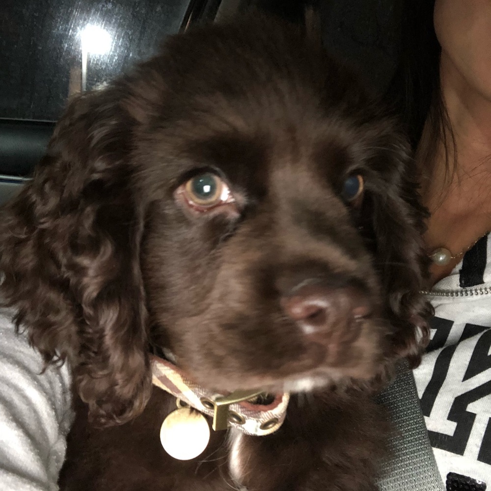 Meet your Posher, Jayme